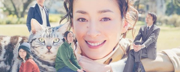 2016年日剧